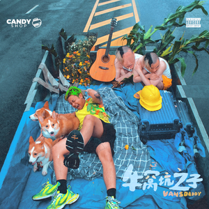 免费大雷的宝藏库
